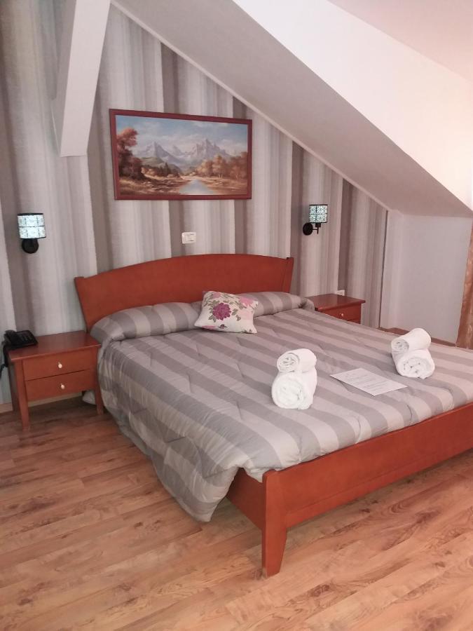 Hotel Vila Veneto Тимишоара Экстерьер фото